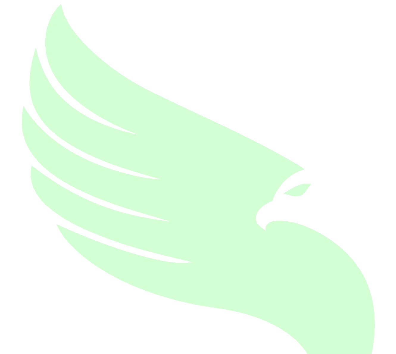 Falk e-tech Solar Elektrik Logo Flügel